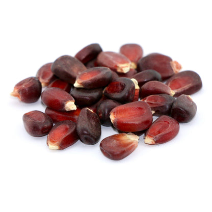 Sweet Red Corn Mais Vegetable Seeds (30 seeds) - Basic Farm House