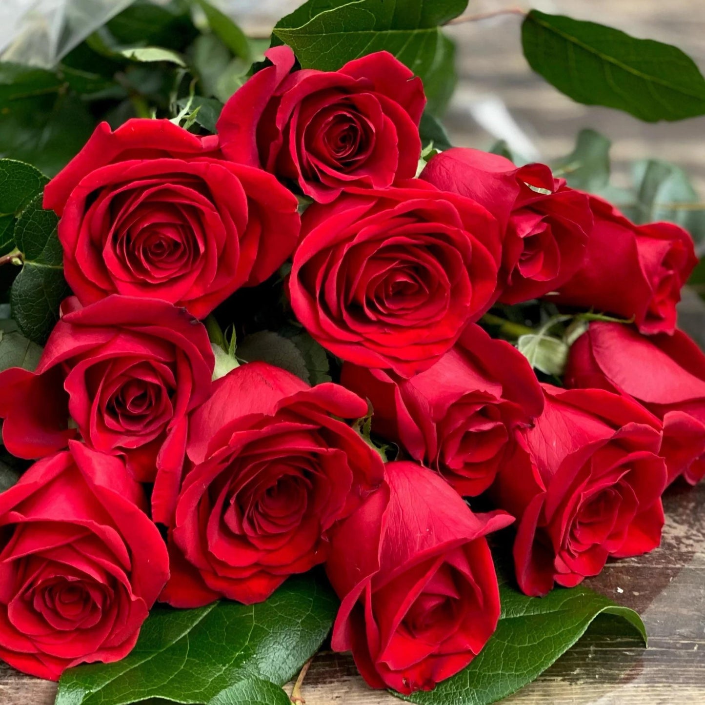 Red Rose Plant Seeds (100 Seeds) – Premium Flower Gardening & Landscaping | Basic Farm House