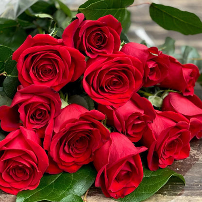 Red Rose Plant Seeds (100 Seeds) – Premium Flower Gardening & Landscaping | Basic Farm House
