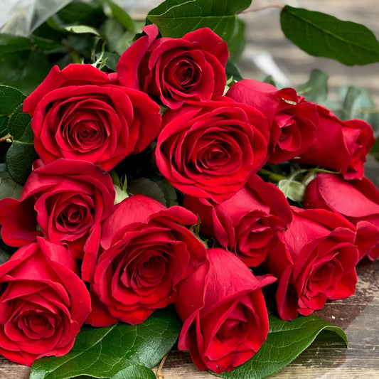Red Rose Plant Seeds (100 Seeds) – Premium Flower Gardening & Landscaping | Basic Farm House