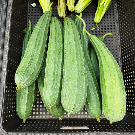 Luffa Ridged Patola Loofah Vegetable Seeds ( 20 seeds ) - Basic Farm House