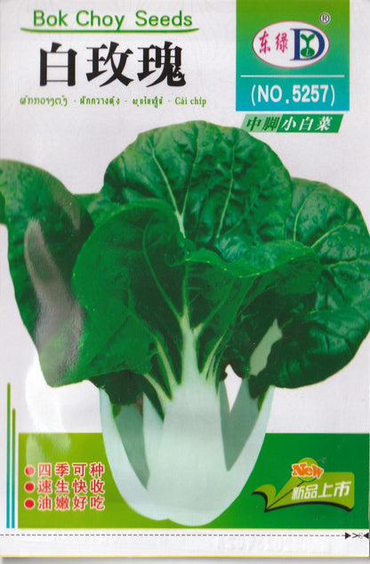 Chinese White Rose Small Pechay Pak Choi Vegetable Seeds ( 2000 seeds ) - Basic Farm House