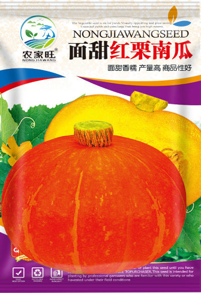 RARE Red Honey Pumpkin Vegetable Variety Seeds (20 seeds) - Basic Farm House