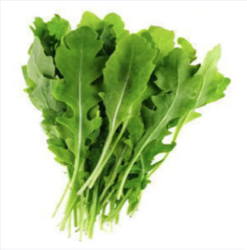 RARE Italian Rocket Lettuce / Arugula Vegetable Salad Seeds ( 1000 seeds ) - Basic Farm House