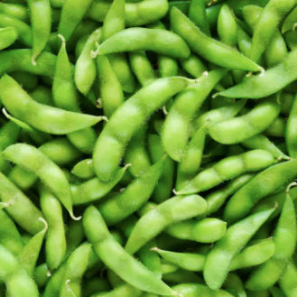 Japanese Korean Green Soybean Edamame Soya Beans Vegetable Seeds (40 seeds) - Basic Farm House