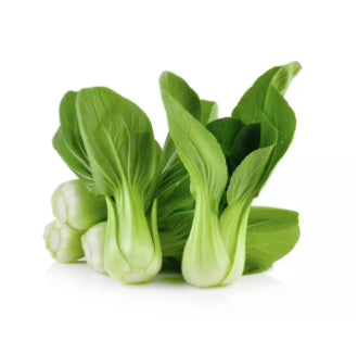 PREMIUM PACK Bok Choy Vegetable Seeds (2500 seeds) - Basic Farm House