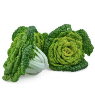 F1 Organic Yellow Green Pak Choi Vegetable Seeds (800 seeds) - Basic Farm House