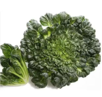 Organic Green Rosette Bok Choy Tatsoi Vegetable Seeds (500 seeds) - Basic Farm House