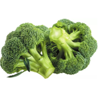Broccoli Vegetable Seeds (300 seeds) - Basic Farm House