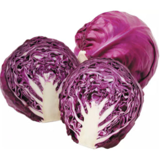 Purple Red Cabbage Repolyo Vegetable Seeds (100 seeds) - Basic Farm House