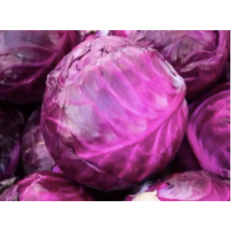 Purple Red Cabbage Repolyo Vegetable Seeds (100 seeds) - Basic Farm House