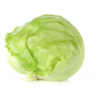 Chinese Iceberg Lettuce / Crispy Lettuce Variety Vegetable Seeds (300 seeds) - Basic Farm House