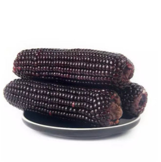 Sweet Black Waxy Corn Mais Vegetable Seeds (30 seeds) - Basic Farm House