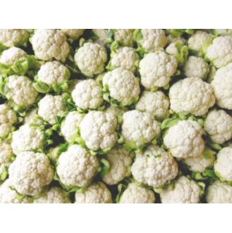 Organic Cauliflower Vegetable Seeds (300 seeds) - Basic Farm House
