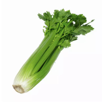 American Celery Herb Vegetable Seeds (3000 seeds) - Basic Farm House