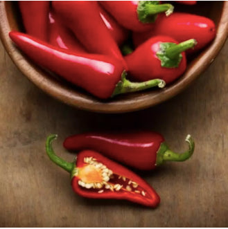 Korean Hot Red Chili Pepper Vegetable Seeds (500 seeds) - Basic Farm House