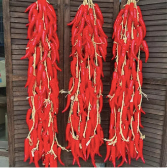 Korean Hot Red Chili Pepper Vegetable Seeds (500 seeds) - Basic Farm House
