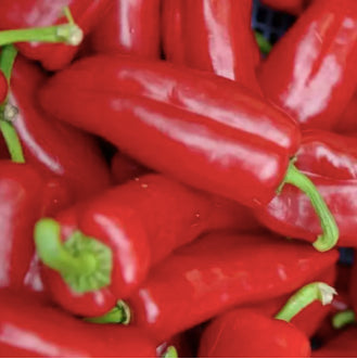 Yidu Red Chili Pepper Vegetable Seeds (500 seeds) - Basic Farm House