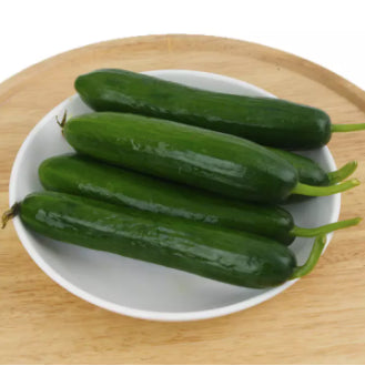 Hybrid Dutch Fruit Cucumber Pipino Salad Vegetable Seeds (18 seeds) - Basic Farm House