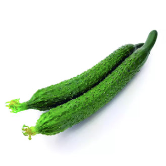 Japanese Korean Long Pickling Cucumber Pipino Suyo Salad Vegetable Seeds (40 seeds) - Basic Farm House