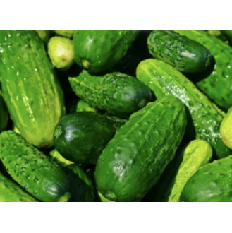 Fruit Cucumber / Pipino Variety Vegetable Seeds (30 seeds) - Basic Farm House