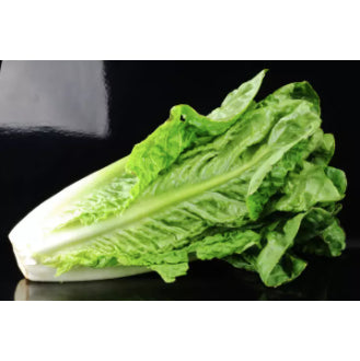 Great Romaine Green Leaf Lettuce Salad Vegetable Seeds (2200 seeds) - Basic Farm House