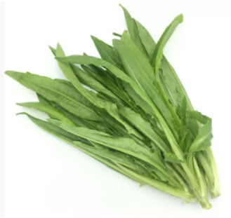Chinese Baby Romaine  Vegetable Seeds (2000 seeds) - Basic Farm House