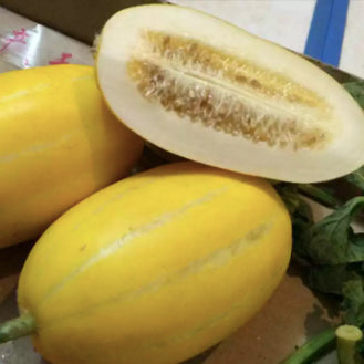 Golden Honeydew Melon Fruit Vegetable Seeds (50 seeds) - Basic Farm House