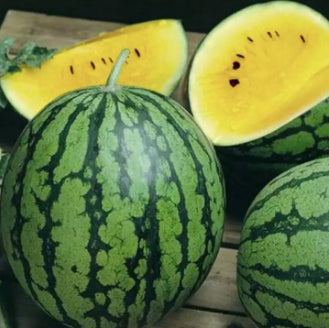Yellow Crimson Watermelon Seeds (30 seeds) - Basic Farm House
