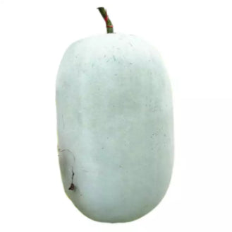 Pink Skin Giant Winter Melon Vegetable Seeds (30 seeds) - Basic Farm House