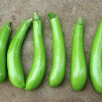 Emerald Green Long Eggplant Vegetable Seeds (100 seeds) - Basic Farm House
