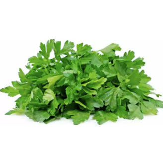 Italian Cilantro Big Leaf Herb Vegetable Seeds (1000 seeds) - Basic Farm House