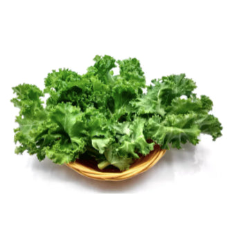 Organic Green KALE Vegetable Seeds (100 seeds) - Basic Farm House