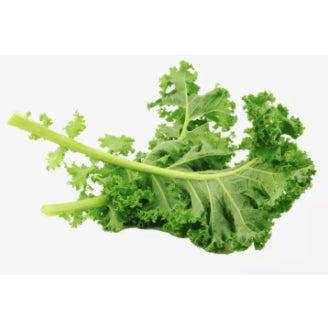 Organic Green KALE Vegetable Seeds (100 seeds) - Basic Farm House