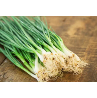 Chinese Small Green Onion Vegetable Seeds ( 1000 seeds ) - Basic Farm House
