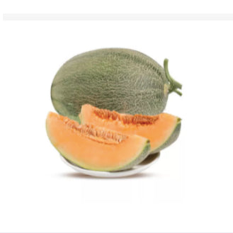 Cantaloupe Netted Melon Fruit Vegetable Seeds (50 seeds) - Basic Farm House