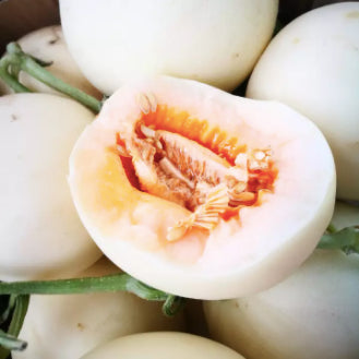 White Sand Honey Melon Fruit Vegetable Seeds (50 seeds) - Basic Farm House
