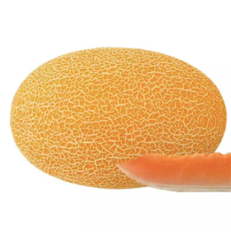 Xinjiang Hami Melon Snow Melon Fruit Vegetable Seeds (20 seeds) - Basic Farm House
