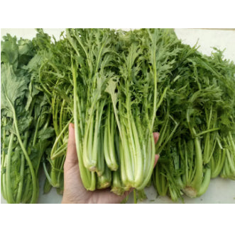 Japanese Mizuna Potherb Mustard Salad Vegetable Seeds (800 seeds) - Basic Farm House