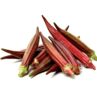 Red Burgundy Okra Vegetable Seeds (50 seeds) - Basic Farm House