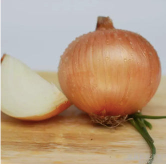 Yellow Onion Sibuyas Vegetable Seeds (500 seeds) - Basic Farm House