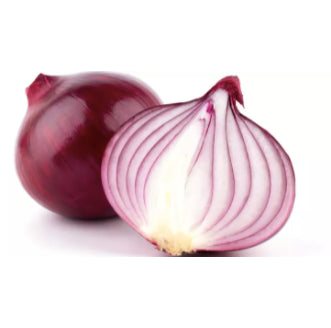 Red Onion Sibuyas Vegetable Seeds (500 seeds) - Basic Farm House