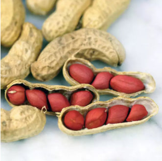 Four Seed Red Peanut Vegetable Seeds (10 seeds) - Basic Farm House