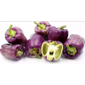 Hybrid Variety Purple Jade Sweet Bell Pepper Vegetable Seeds (100 seeds) - Basic Farm House