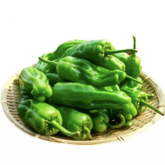Japanese Sweet Shishito Peppers Vegetable Seeds (100 seeds) - Basic Farm House