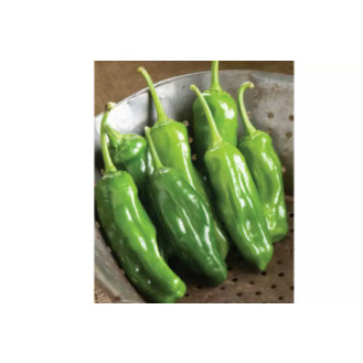 Japanese Sweet Shishito Peppers Vegetable Seeds (100 seeds) - Basic Farm House
