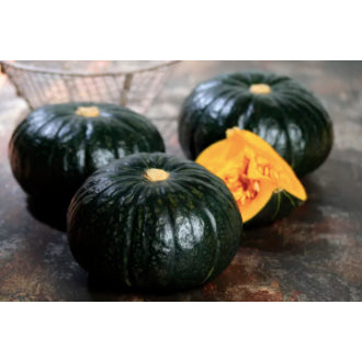 Rare Japanese Kabocha Black Sweet Pumpkin Kalabasa Vegetable Seeds (40 seeds) - Basic Farm House