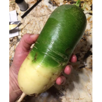 Korean Sweet Crispy Green Water Fruit Radish Labanos Vegetable Seeds (200 seeds) - Basic Farm House