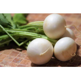 Round White Radish Labanos Vegetable Seeds (300 seeds) - Basic Farm House