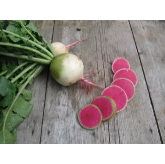 Chinese Watermelon Red Meat Sweet Radish Kimchi Vegetable Seeds (300 seeds) - Basic Farm House